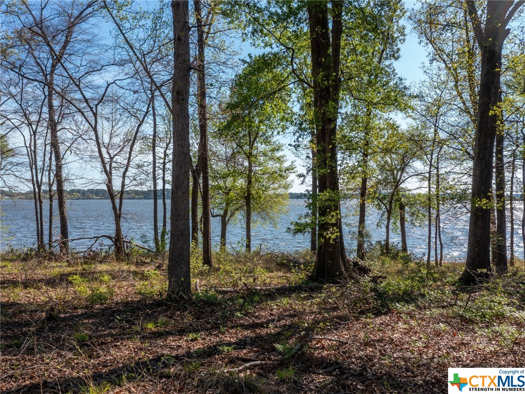 3104 Shadow Pine Drive, Larue Property Photo 12