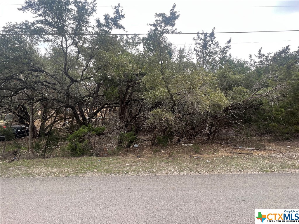 809 Scenic Run Property Photo