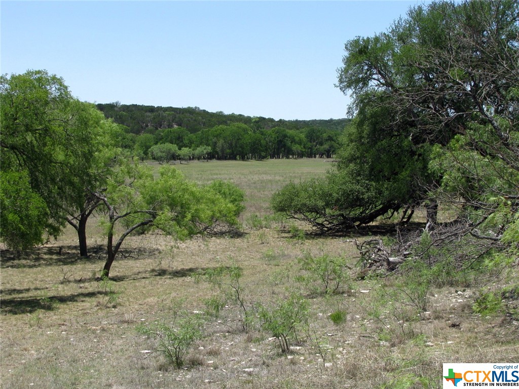 Lot 54 Buffalo Creek Drive Property Photo 6