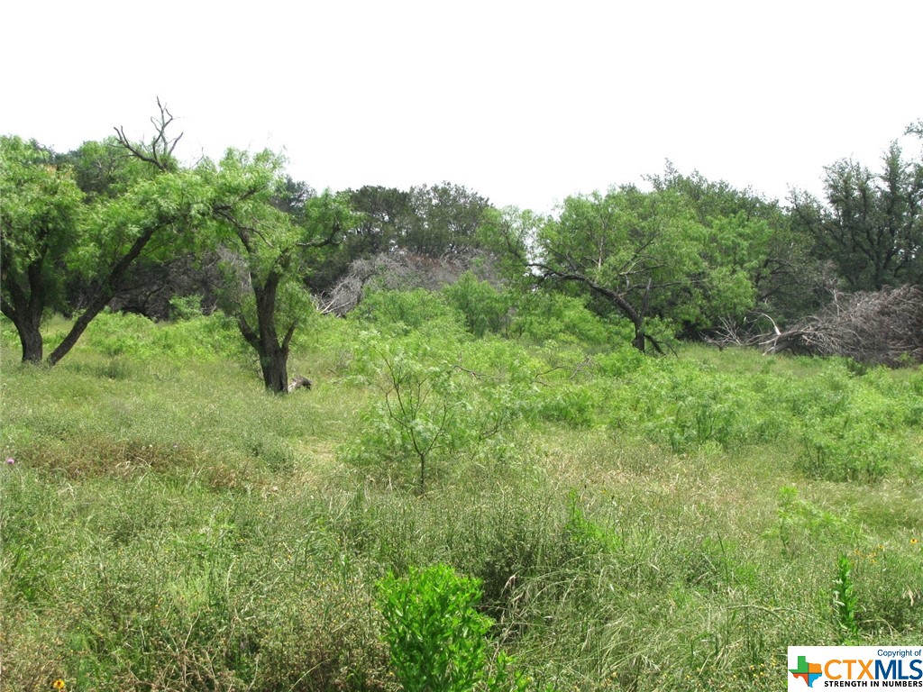 Lot 54 Buffalo Creek Drive Property Photo 7