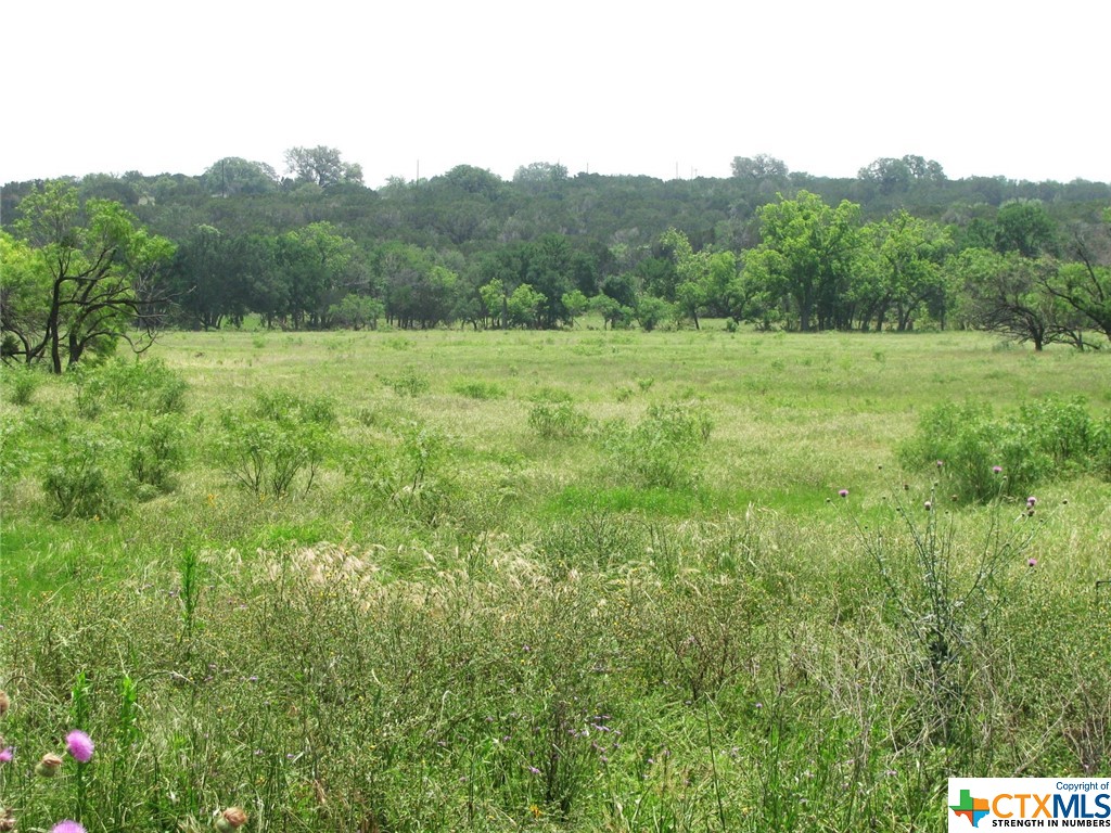 Lot 54 Buffalo Creek Drive Property Photo 8