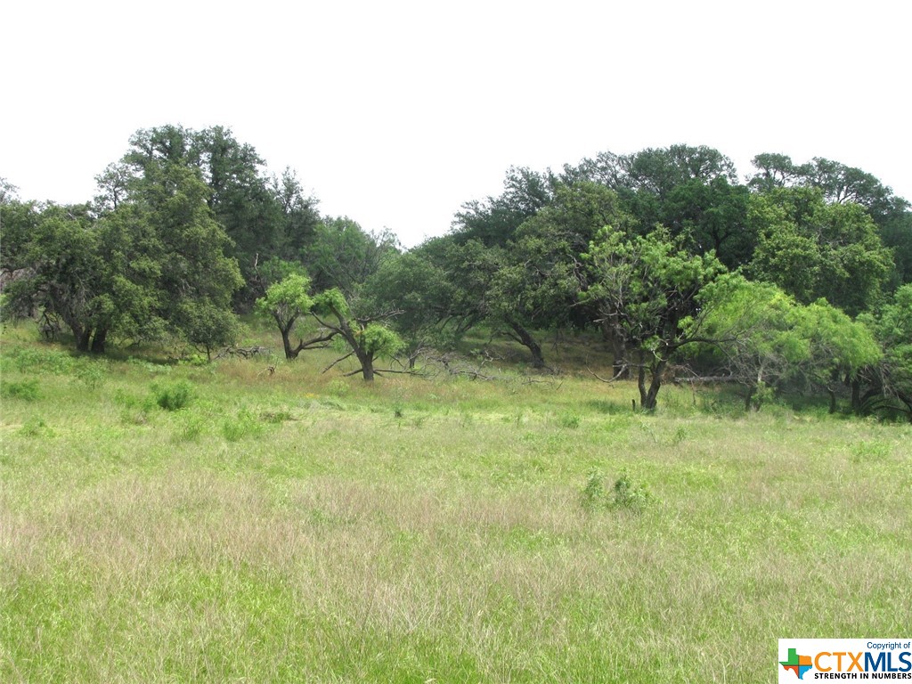 Lot 54 Buffalo Creek Drive Property Photo 10