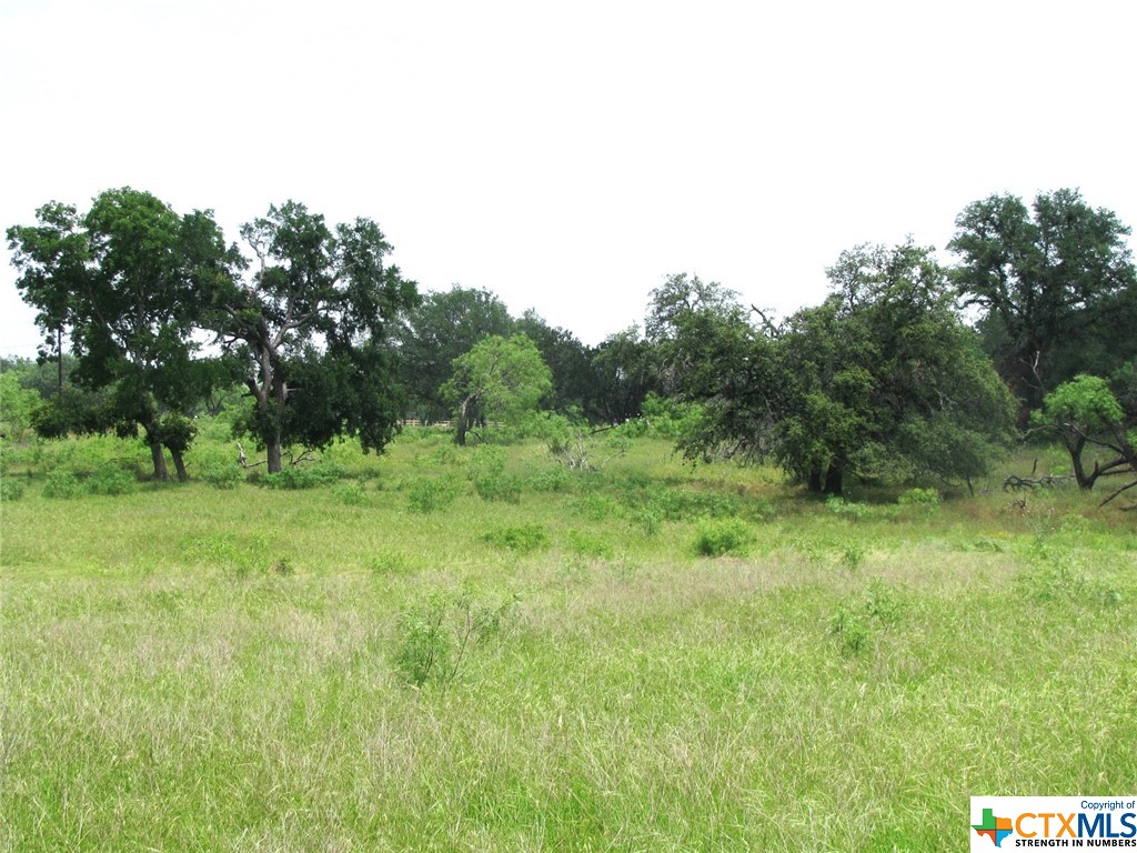 Lot 54 Buffalo Creek Drive Property Photo 11
