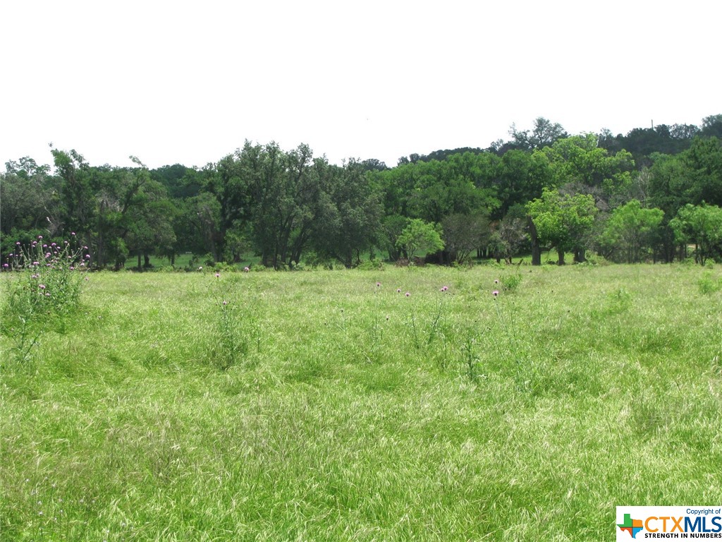 Lot 54 Buffalo Creek Drive Property Photo 12