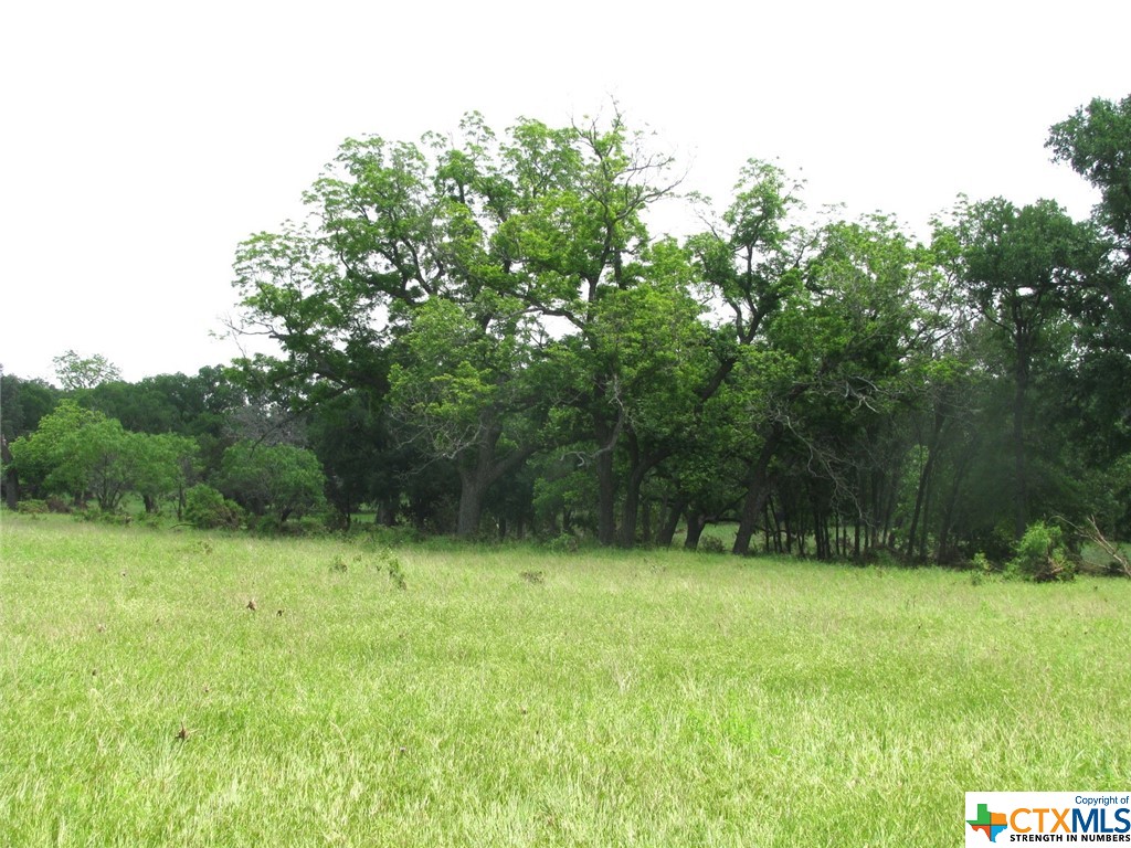 Lot 54 Buffalo Creek Drive Property Photo 14