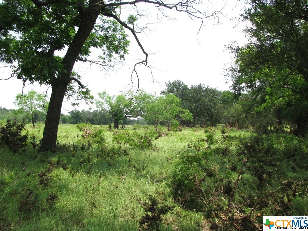 Lot 54 Buffalo Creek Drive Property Photo 17