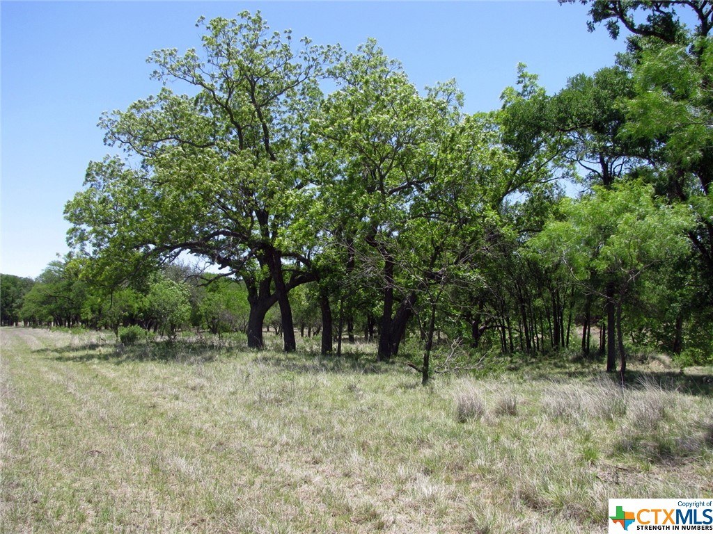 Lot 53 Buffalo Creek Drive Property Photo 3