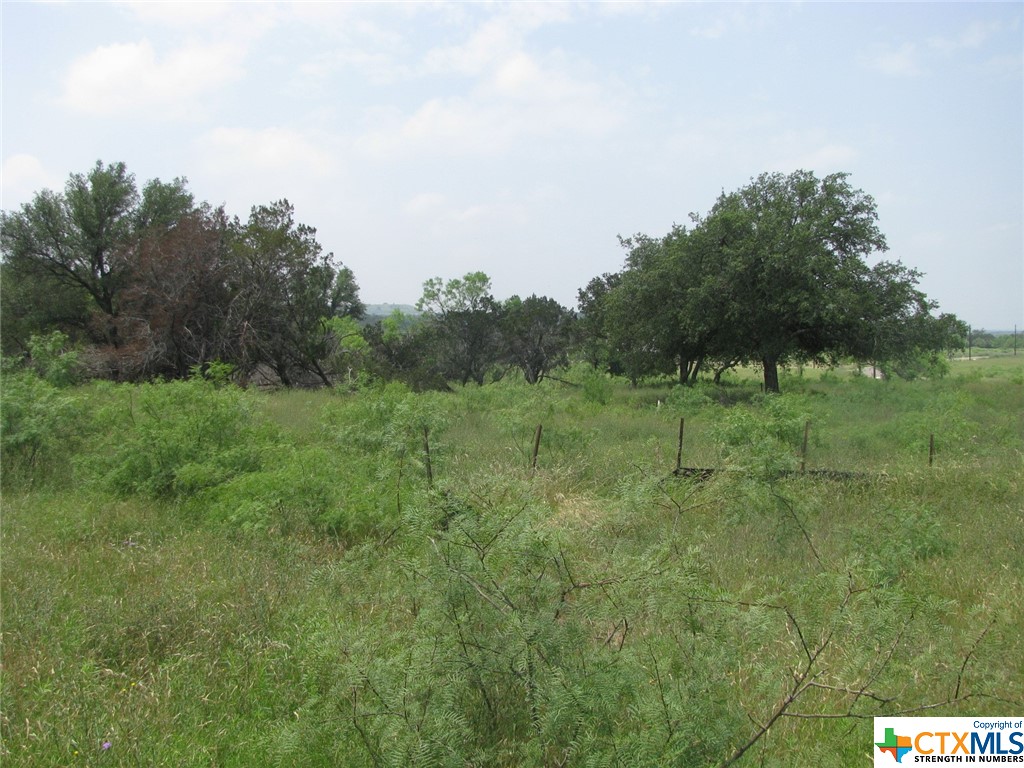 Lot 53 Buffalo Creek Drive Property Photo 4