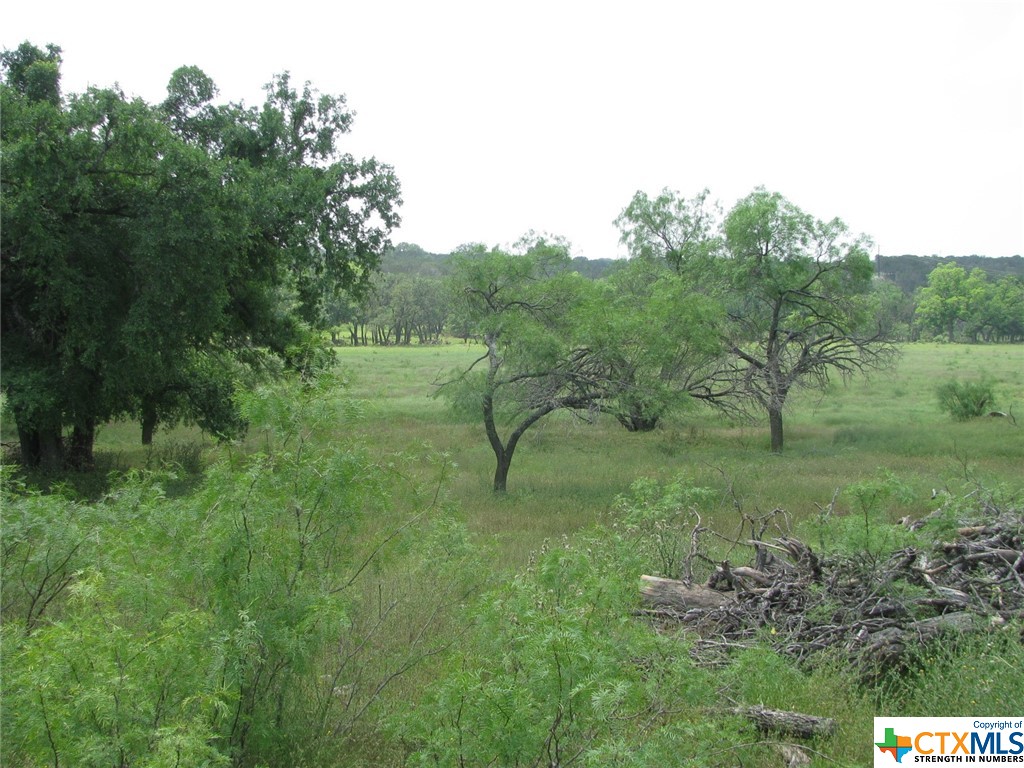 Lot 53 Buffalo Creek Drive Property Photo 6