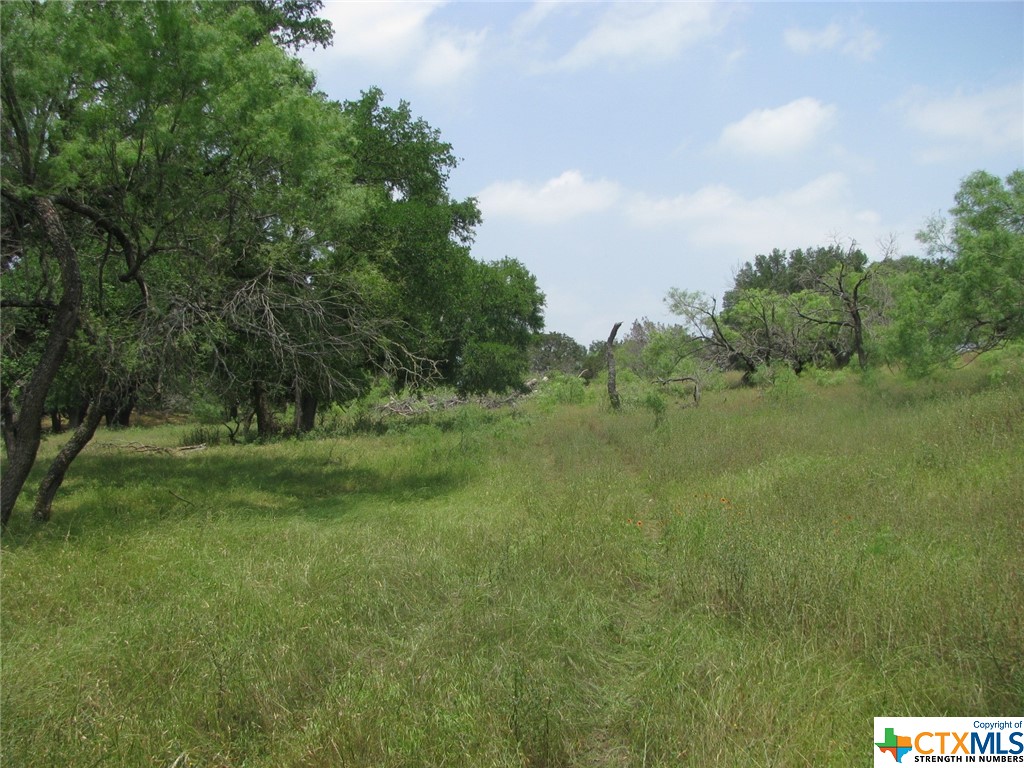 Lot 53 Buffalo Creek Drive Property Photo 7
