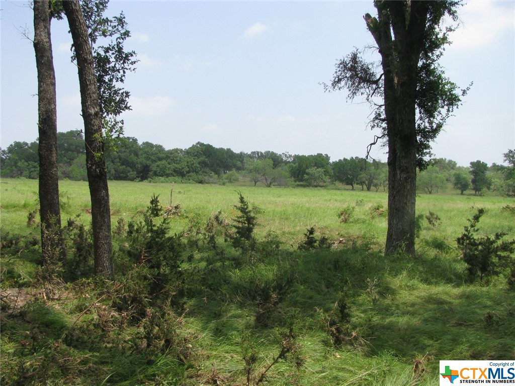 Lot 53 Buffalo Creek Drive Property Photo 17