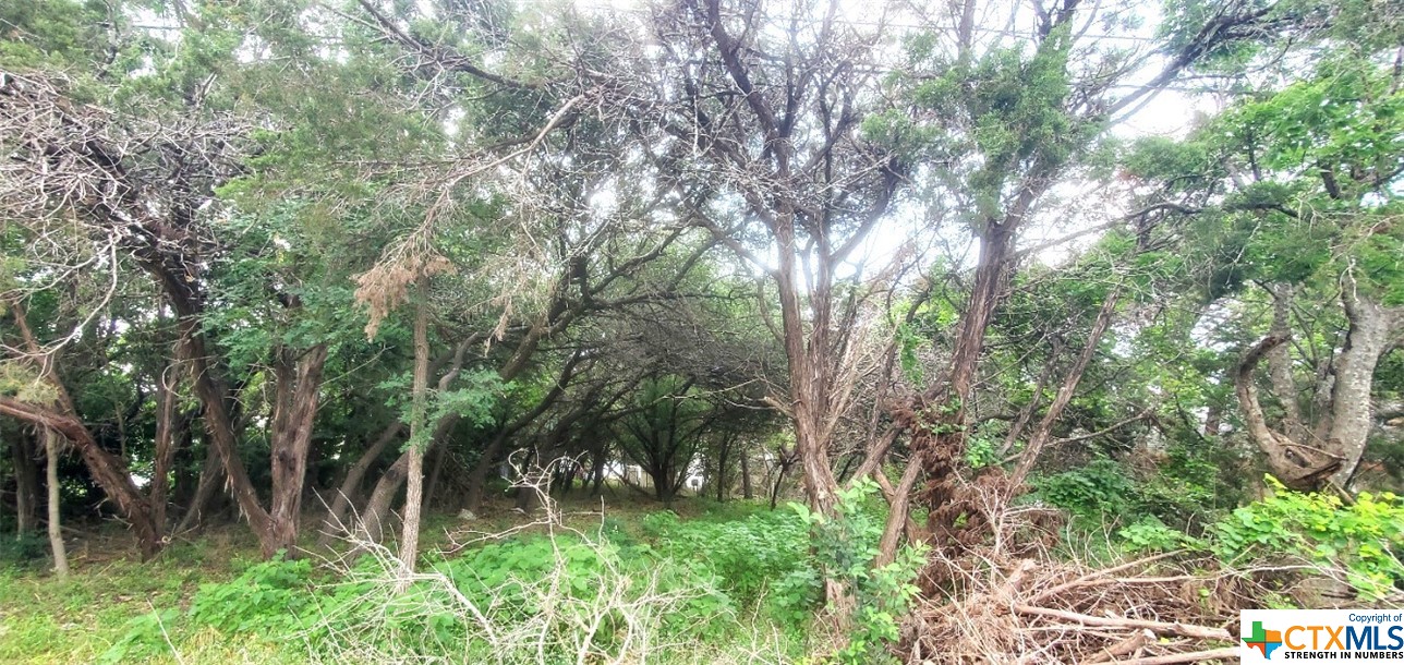 13257 Harbor Drive Property Photo 14