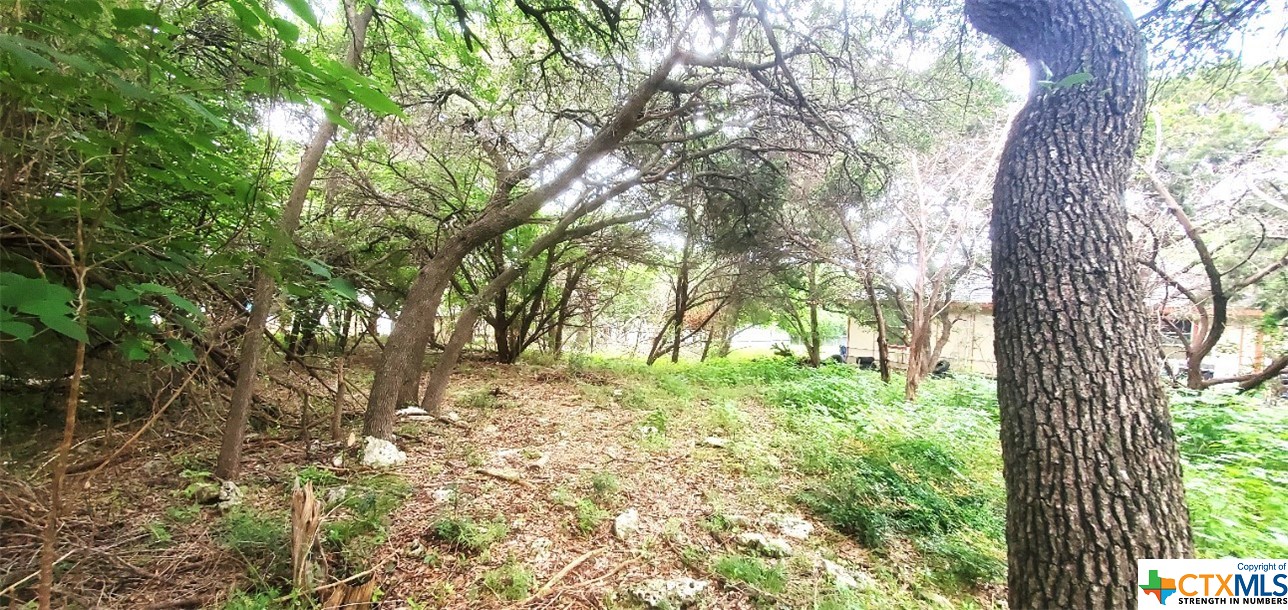 13257 Harbor Drive Property Photo 15