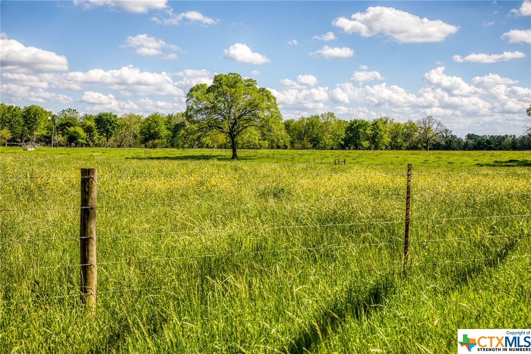 42493 Fm 1458 Road Property Photo 16