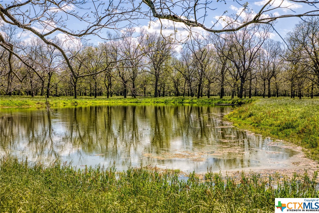42493 Fm 1458 Road Property Photo 20
