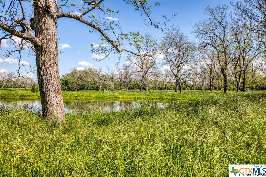 42493 Fm 1458 Road Property Photo 21