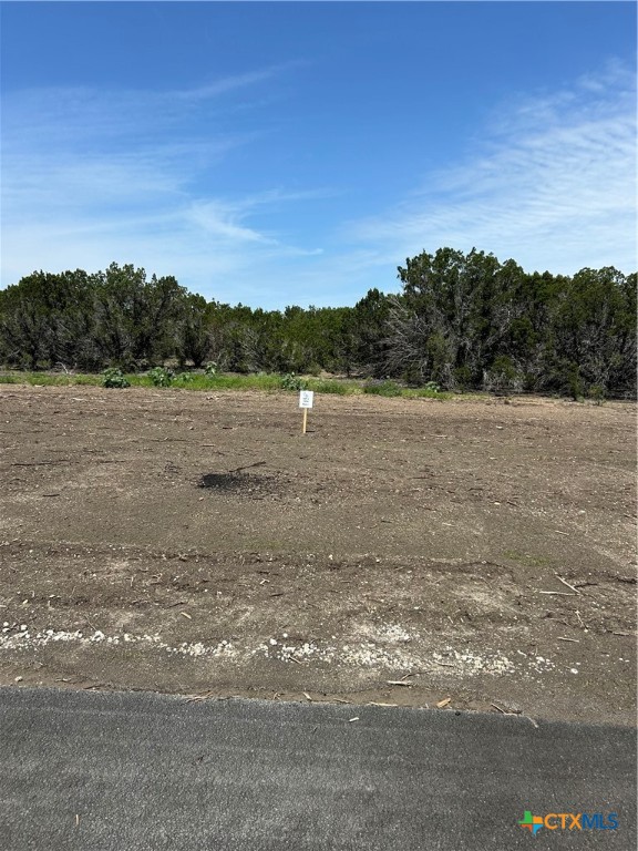 117 Cedar Bluff Loop Property Photo 3