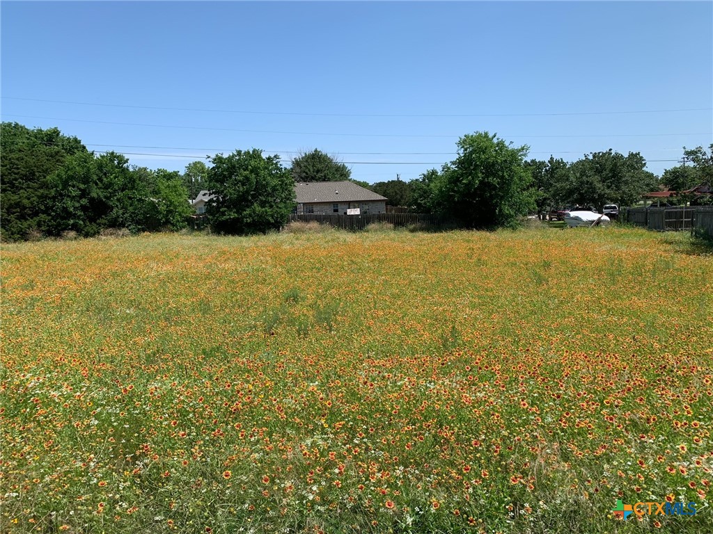 8518 Idaho (lot 2 - 81537) Avenue Property Photo 3