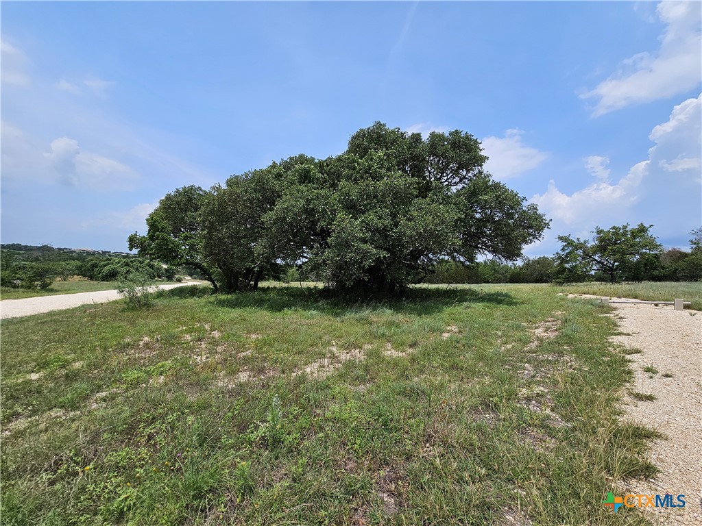 TBD FM 580 (Tract 67) Property Photo 1