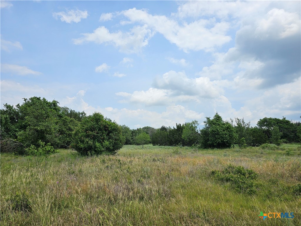 Tbd Fm 580 (tract 67) Property Photo 7