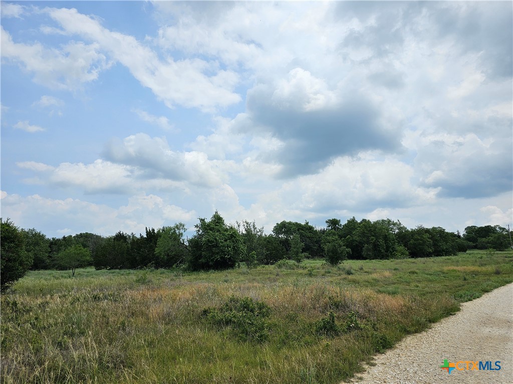 Tbd Fm 580 (tract 67) Property Photo 8