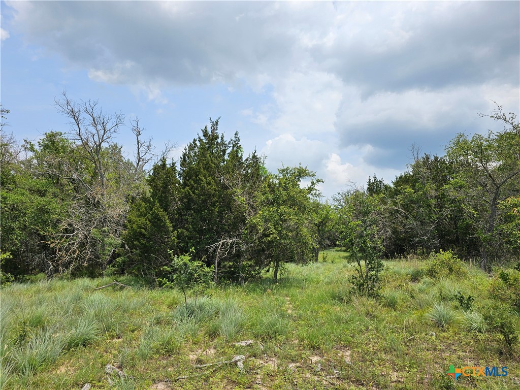 Tbd Fm 580 (tract 67) Property Photo 9