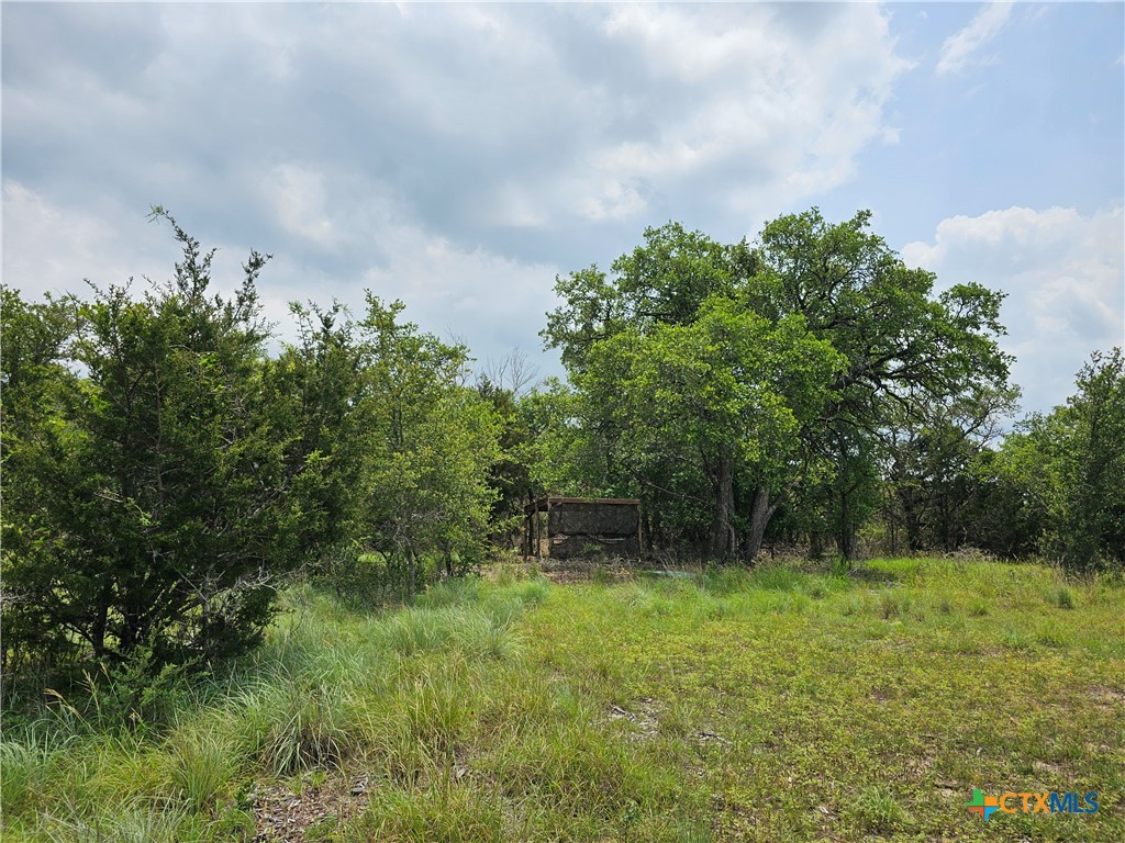 Tbd Fm 580 (tract 67) Property Photo 10