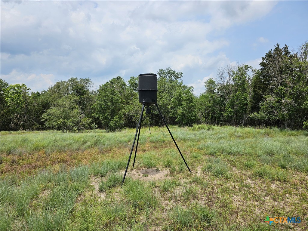 Tbd Fm 580 (tract 67) Property Photo 11