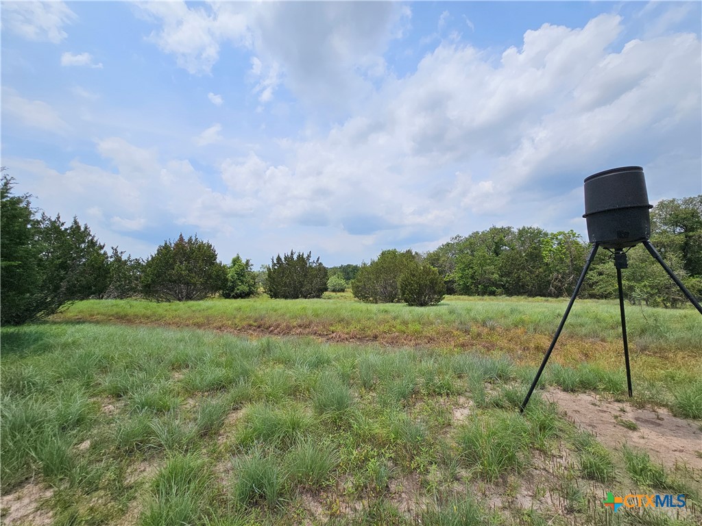 Tbd Fm 580 (tract 67) Property Photo 12