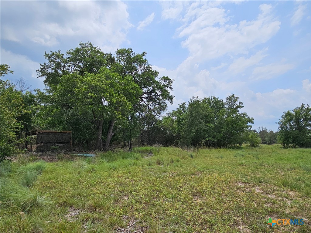 Tbd Fm 580 (tract 67) Property Photo 13
