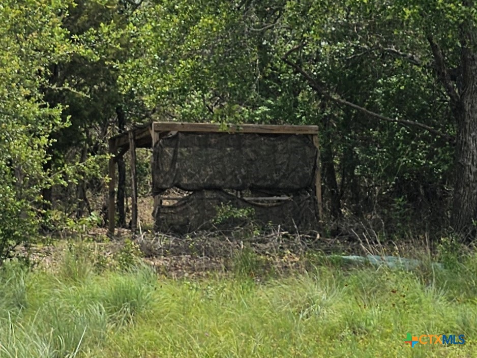 Tbd Fm 580 (tract 67) Property Photo 14