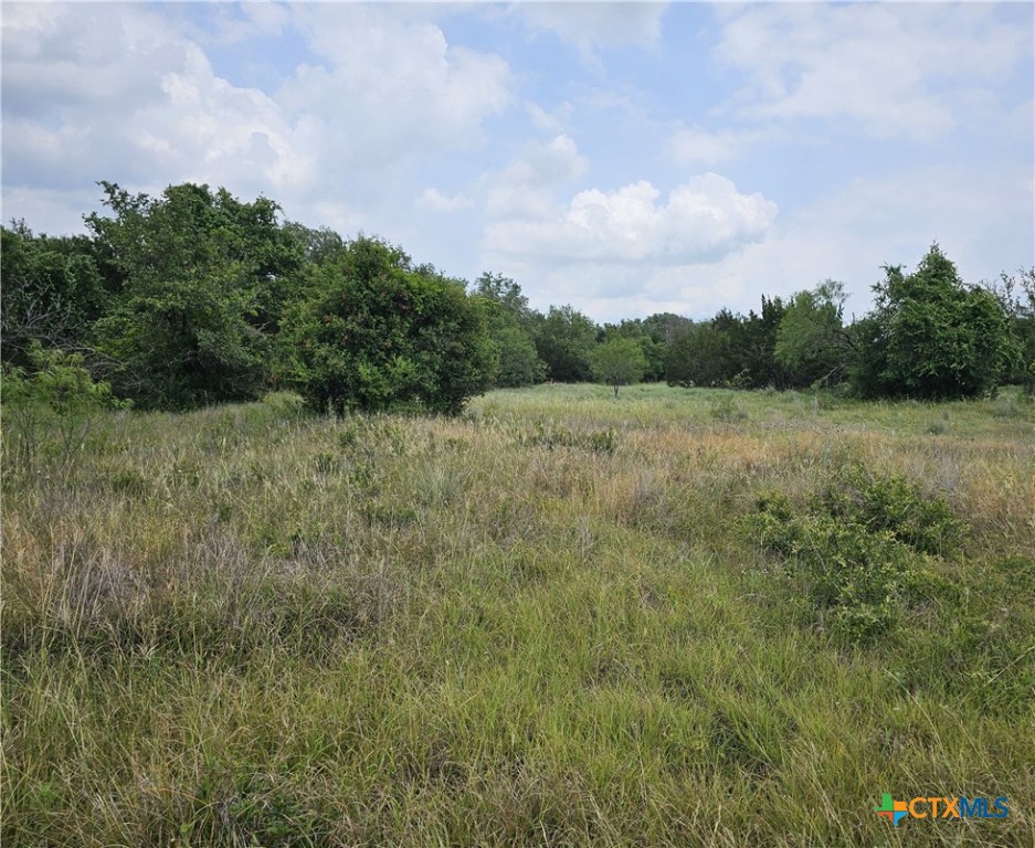 Tbd Fm 580 (tract 67) Property Photo 17