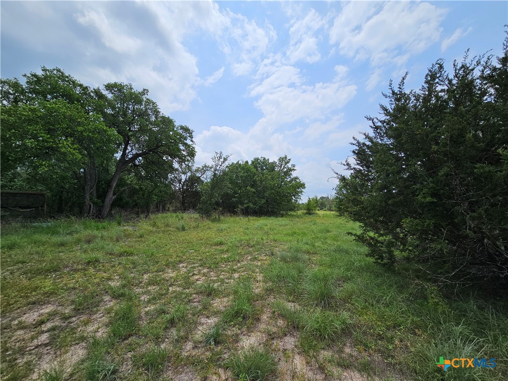 Tbd Fm 580 (tract 67) Property Photo 18