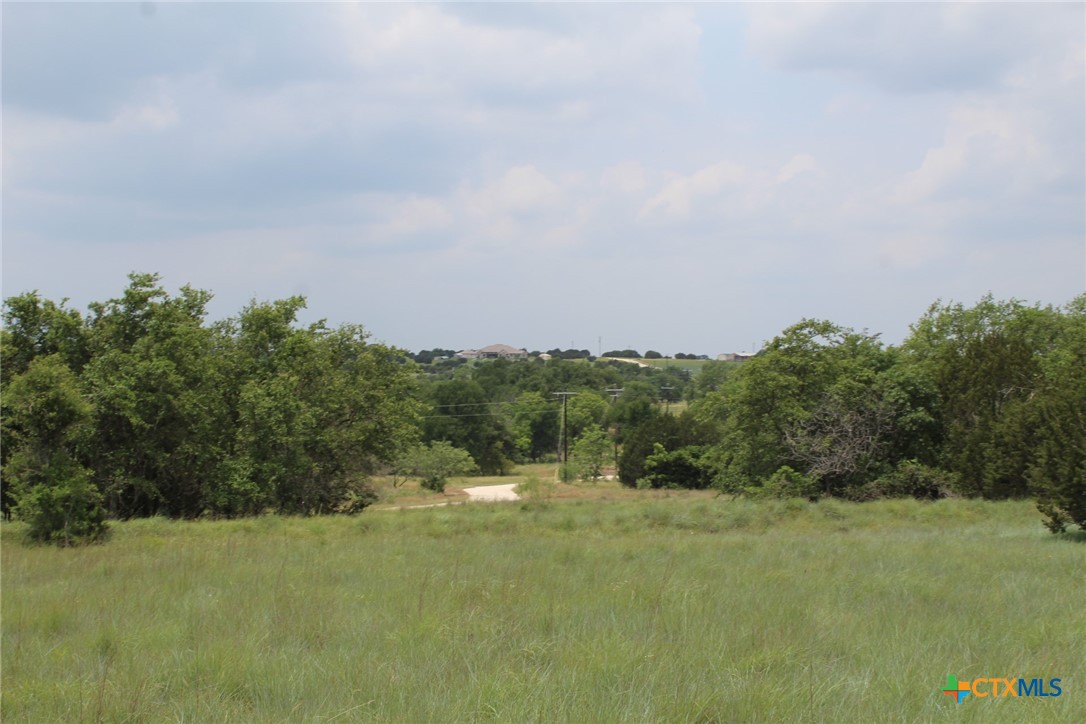 Tbd Fm 580 (tract 67) Property Photo 19