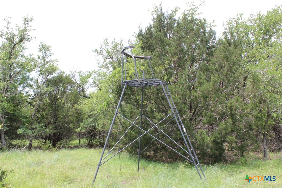 Tbd Fm 580 (tract 67) Property Photo 20