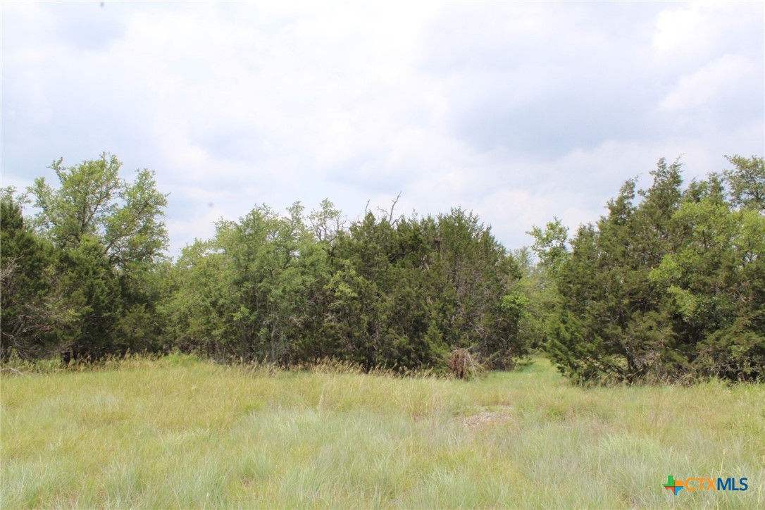 Tbd Fm 580 (tract 67) Property Photo 21