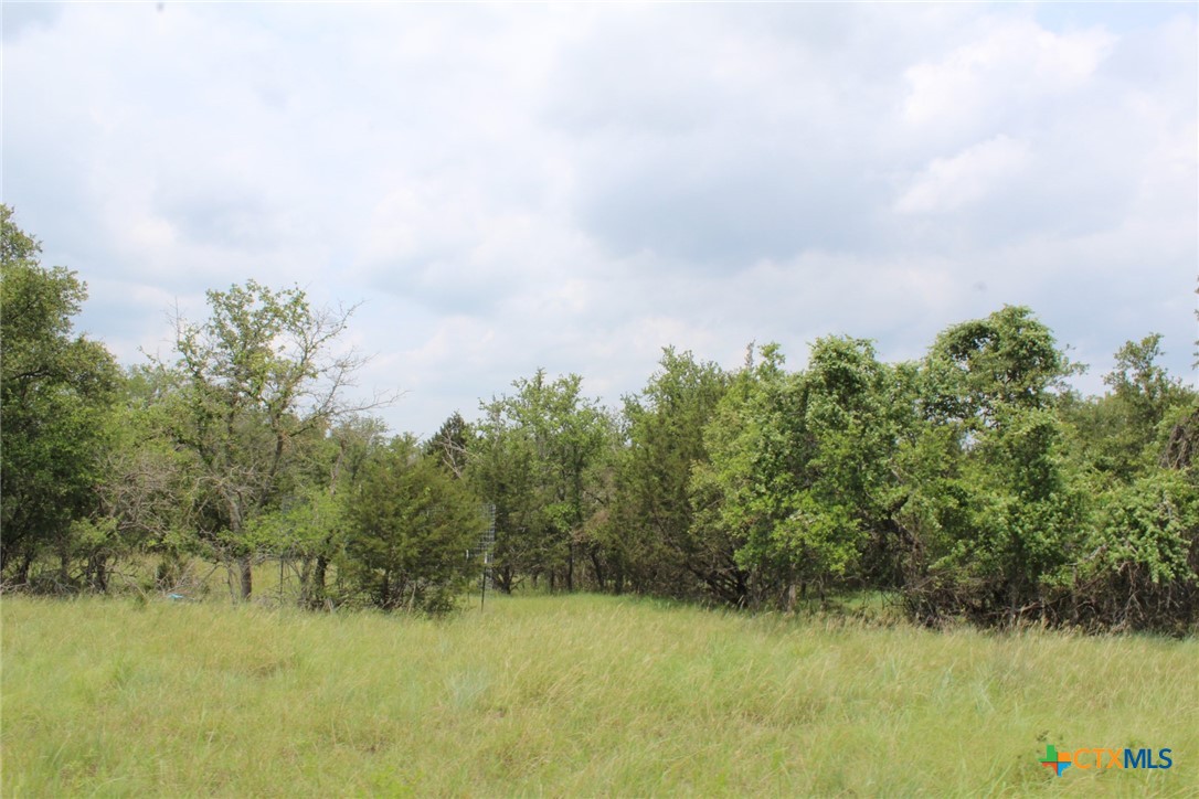 Tbd Fm 580 (tract 67) Property Photo 22