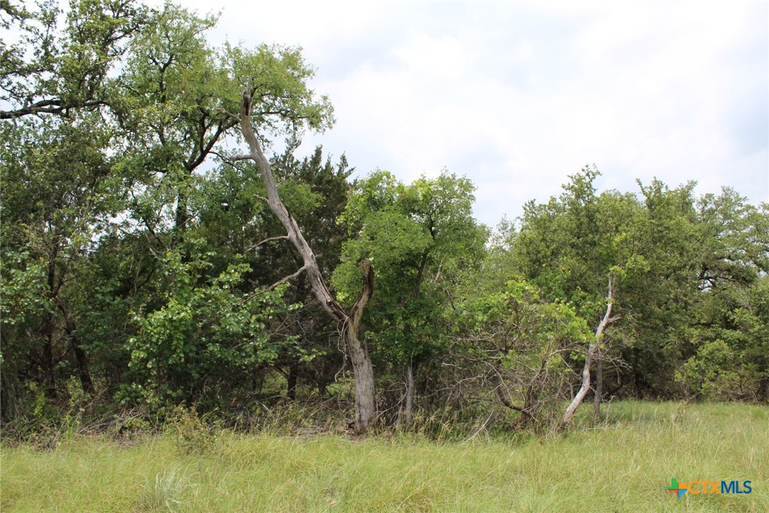 Tbd Fm 580 (tract 67) Property Photo 23