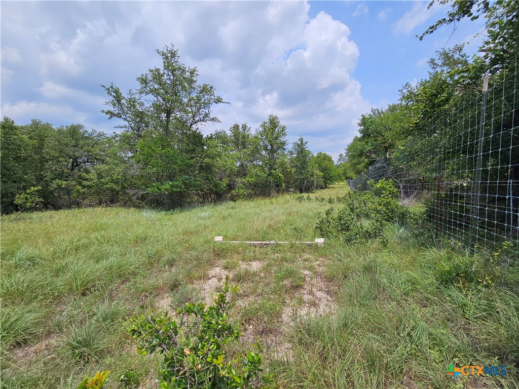 Tbd Fm 580 (tract 67) Property Photo 25