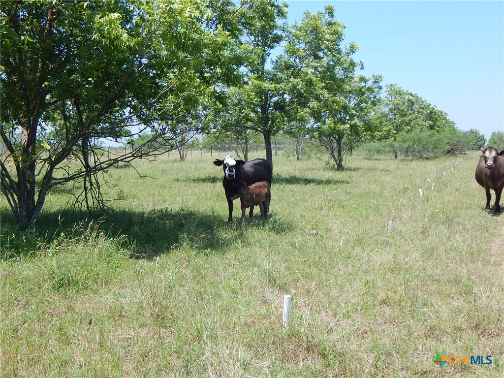 20441 Fm 2268 Property Photo 2