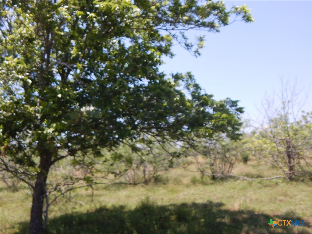 20441 Fm 2268 Property Photo 3