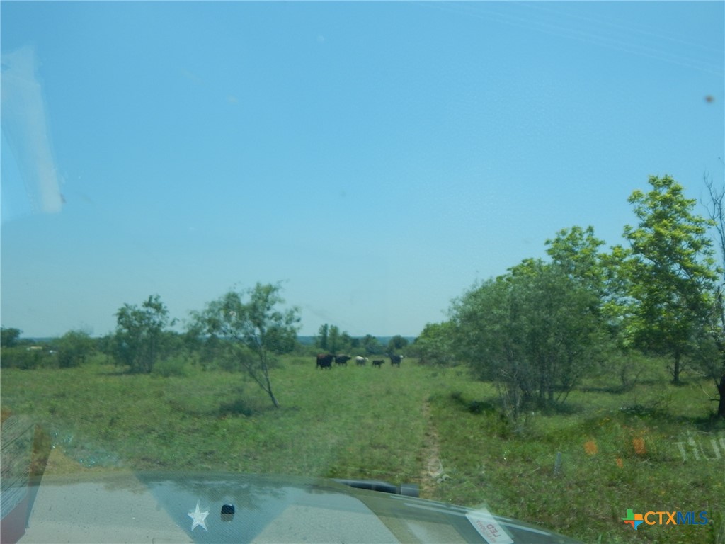 20441 Fm 2268 Property Photo 4