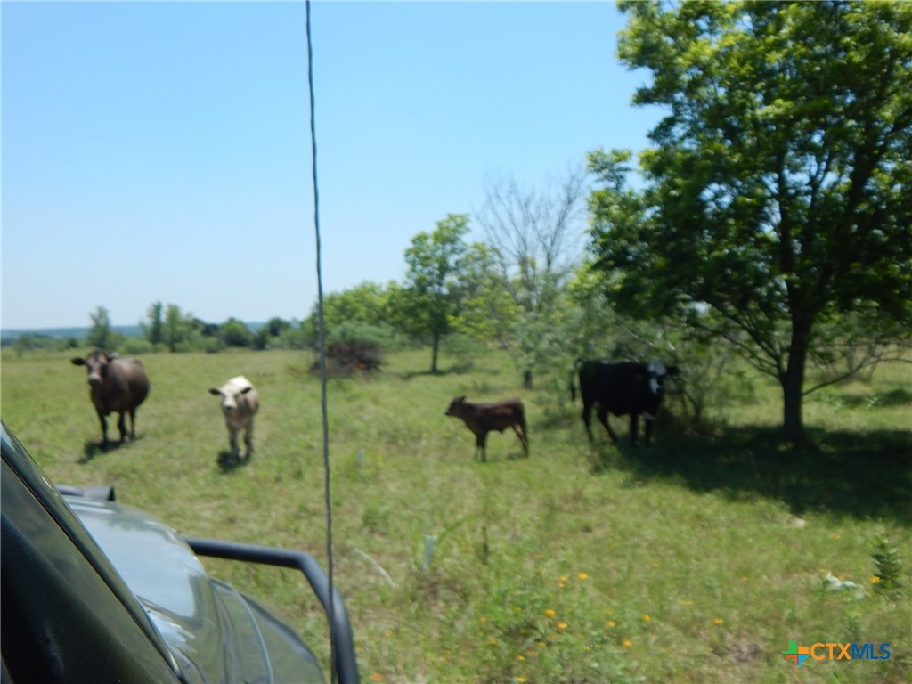 20441 Fm 2268 Property Photo 5