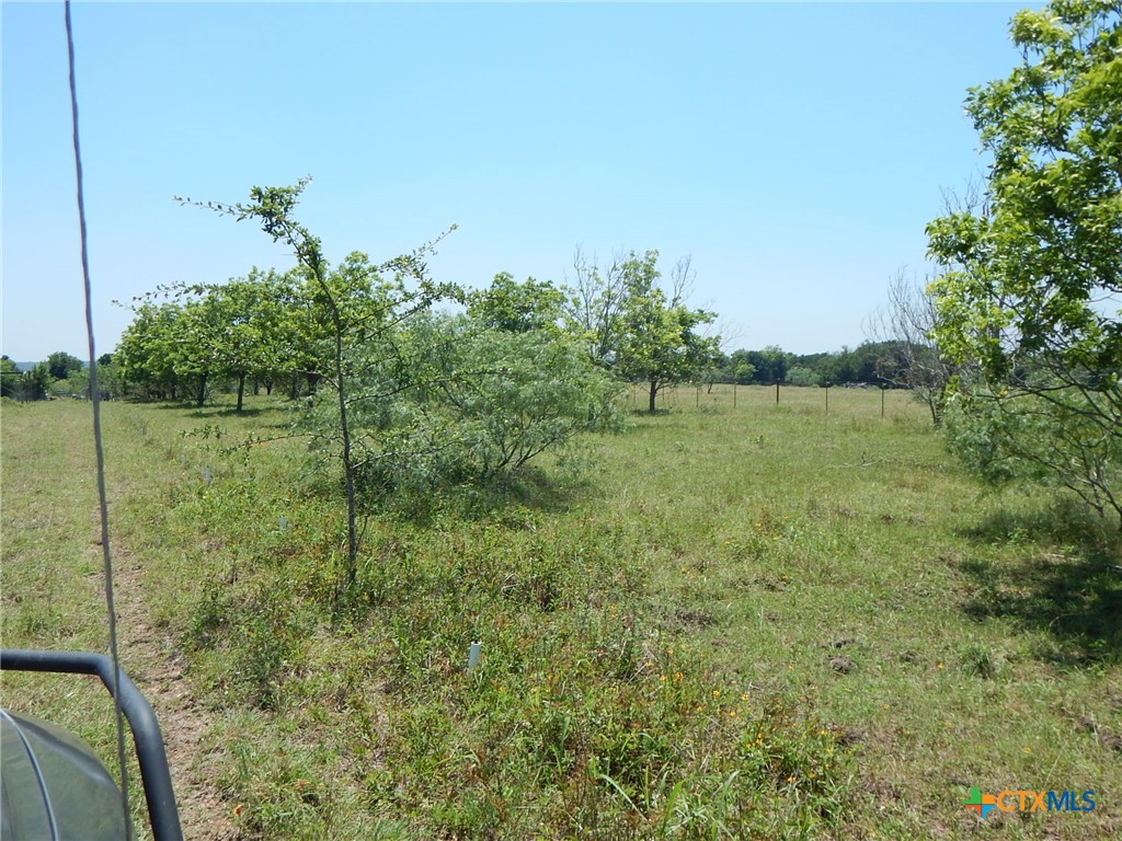 20441 Fm 2268 Property Photo 7