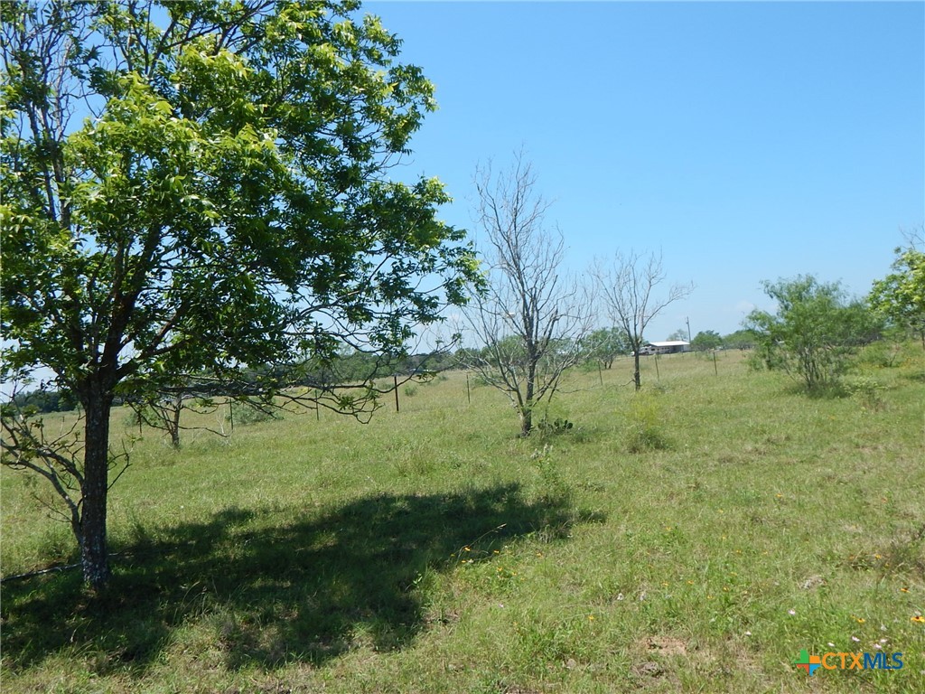 20441 Fm 2268 Property Photo 8