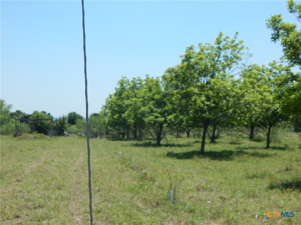 20441 Fm 2268 Property Photo 9