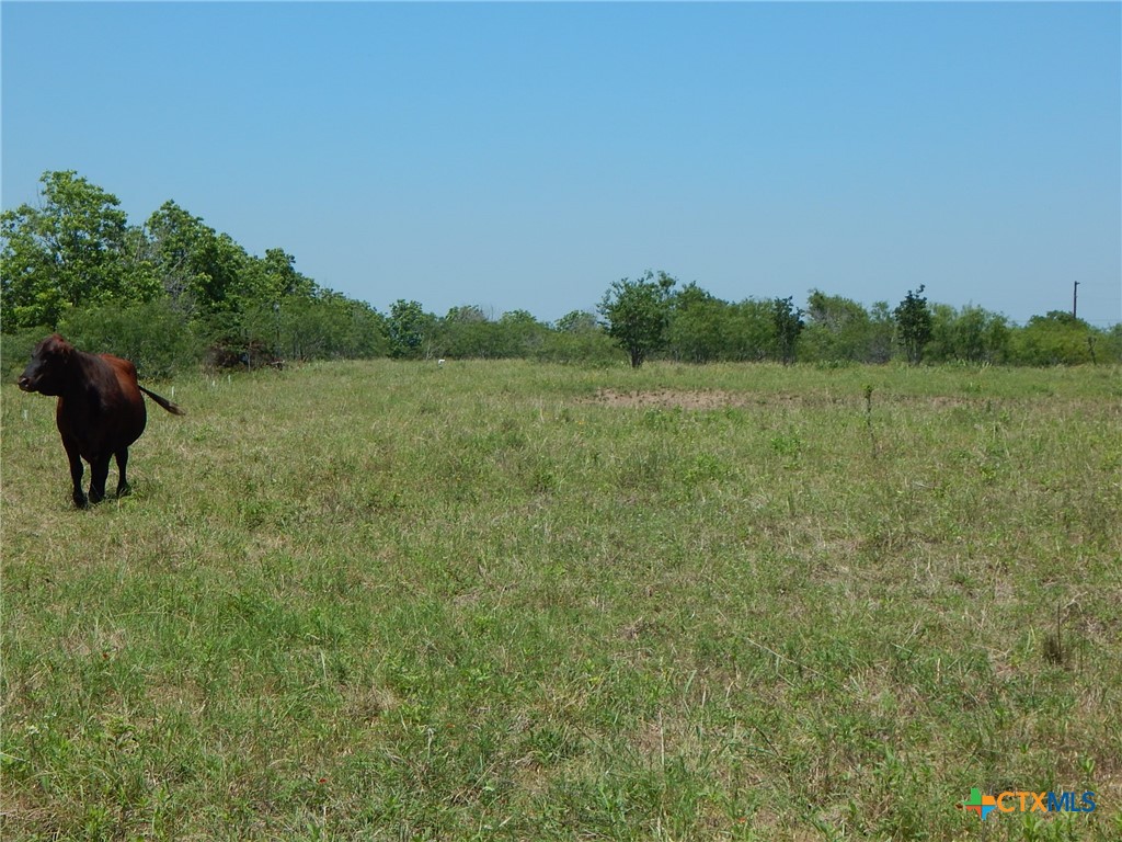 20441 Fm 2268 Property Photo 19