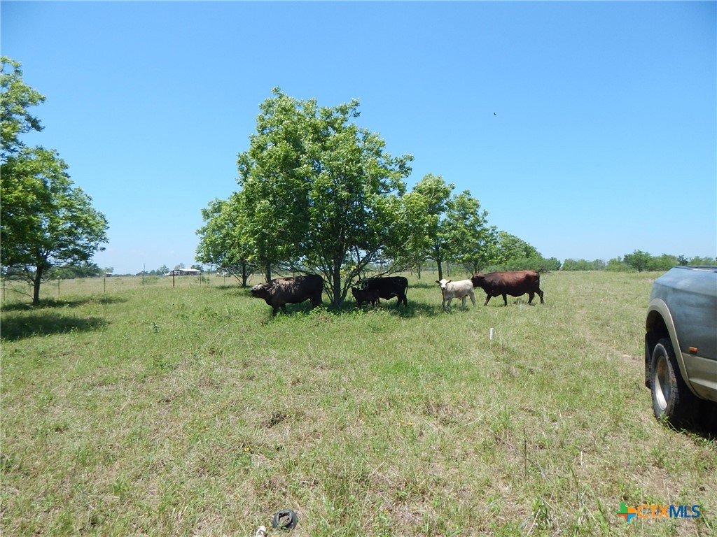 20441 Fm 2268 Property Photo 20