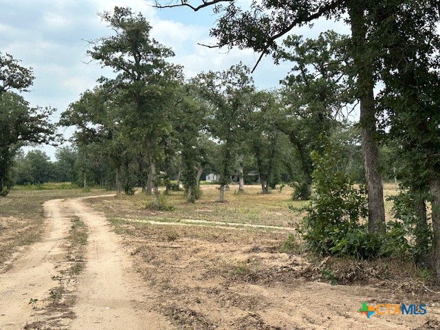 11296 Us Highway 87 Highway Property Photo 5
