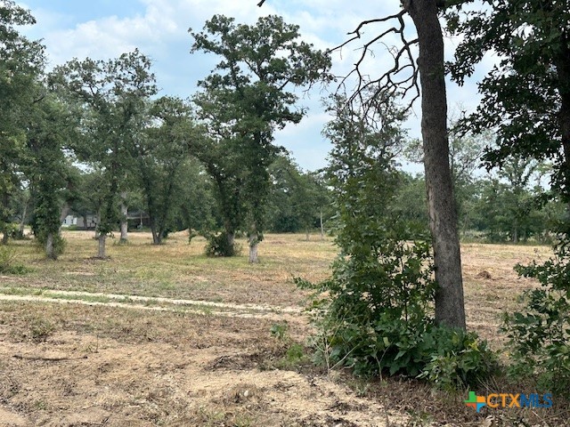 11296 Us Highway 87 Highway Property Photo 6
